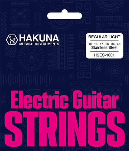 Stainless Steel String HSES-1001